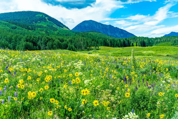 Snodgrass Mountain, Colorado — photo by Chris Heaton