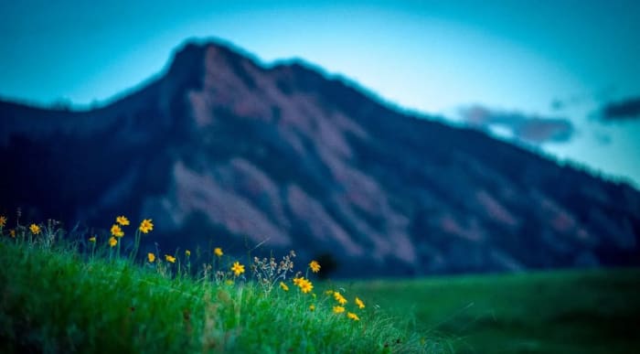 Wildflowers Against the Flatirons — Boulder, Colorado — Colorado landscape photography by Chris Heaton