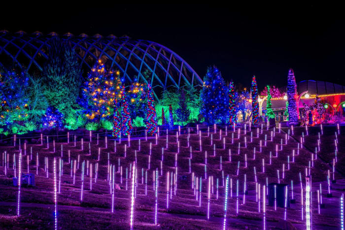 Denver Botanic Gardens Lights — Denver Botanic Gardens, Denver — Colorado landscape photography by Chris Heaton
