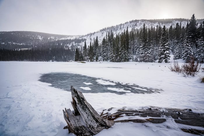 One Old Log Keeping Score — Nederland — Colorado landscape photography by Chris Heaton