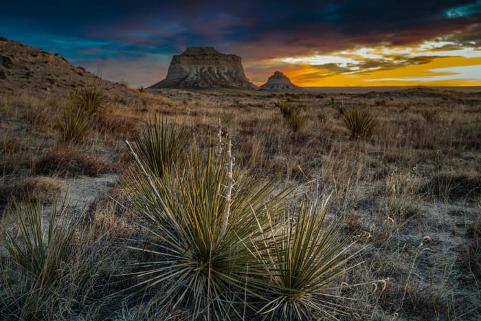 Pawnee Buttes and Yucca — Pawnee National Grassland, Colorado — Colorado landscape photography by Chris Heaton