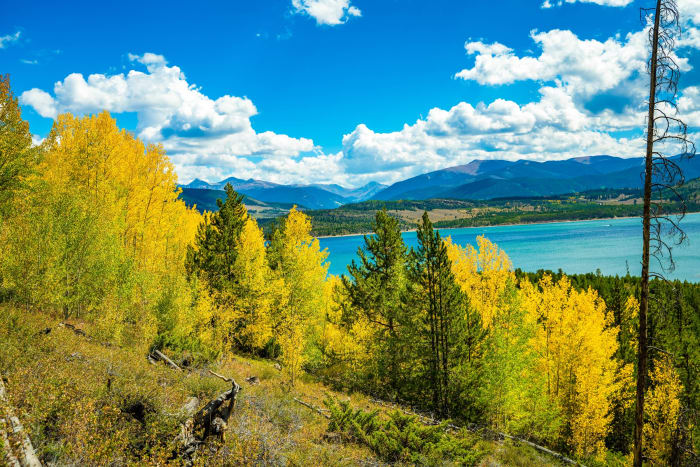 Gold Above Reservoir Blue — Lake Dillon, Colorado. Gold aspens stacked above that unmistakable reservoir blue at Lake Dillon in Summit County, Colorado,…