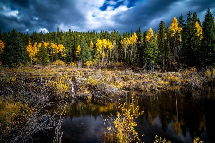 The Dam Builders Picked Well — Guenella pass — Colorado landscape photography by Chris Heaton