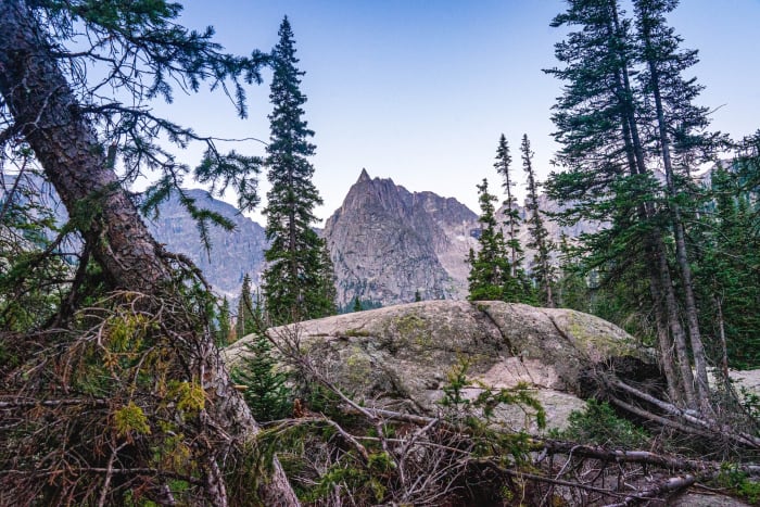 Lone Eagle Peak Through Trees — Indian Peaks Wilderness, Colorado — Colorado landscape photography by Chris Heaton
