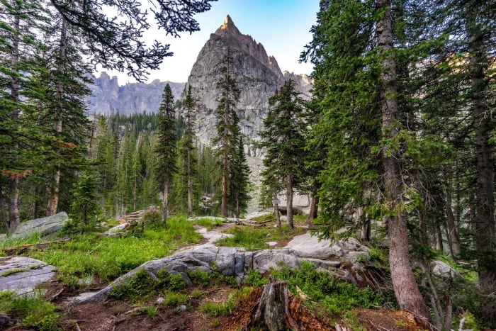 Lone Eagle Peak Through Forest — Indian Peaks Wilderness, Colorado — Colorado landscape photography by Chris Heaton