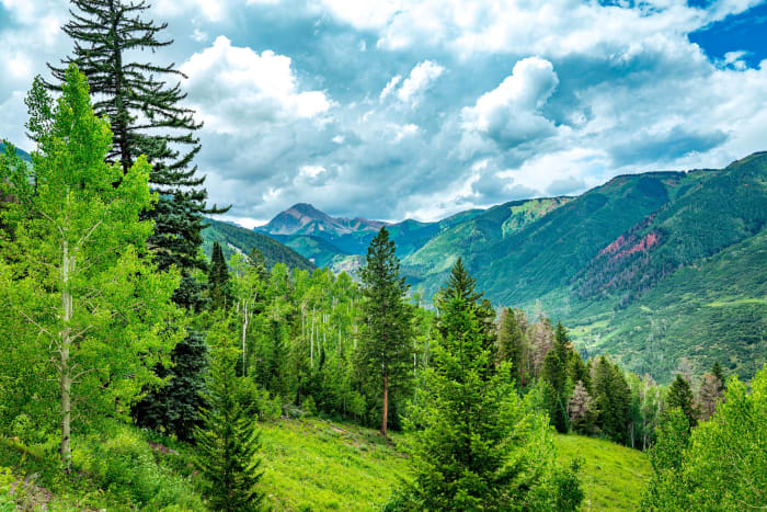 Fifty Shades of Green — Snow.ass wilderness — Colorado landscape photography by Chris Heaton