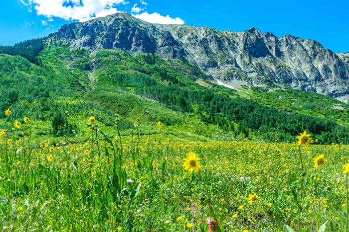 Gothic Colorado — Gothic, Colorado — Colorado landscape photography by Chris Heaton