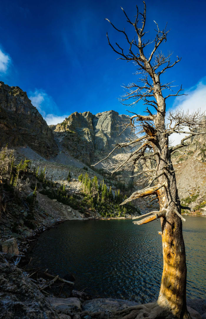Weathered Tree by the Alpine Lake — Emerald Lake, Rocky Mountain National Park — Colorado landscape photography by Chris Heaton