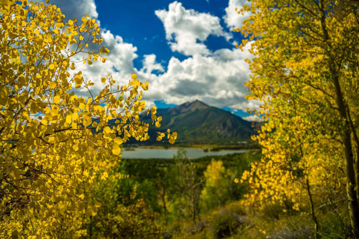 A Window of Gold — Lake Dillon, Colorado. A window through peak gold aspens looking down to a reservoir and the ridges beyond, with cumulus building over…