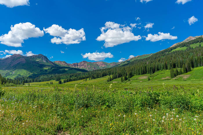 Gothic Area Colorado — Gothic, Colorado — Colorado landscape photography by Chris Heaton