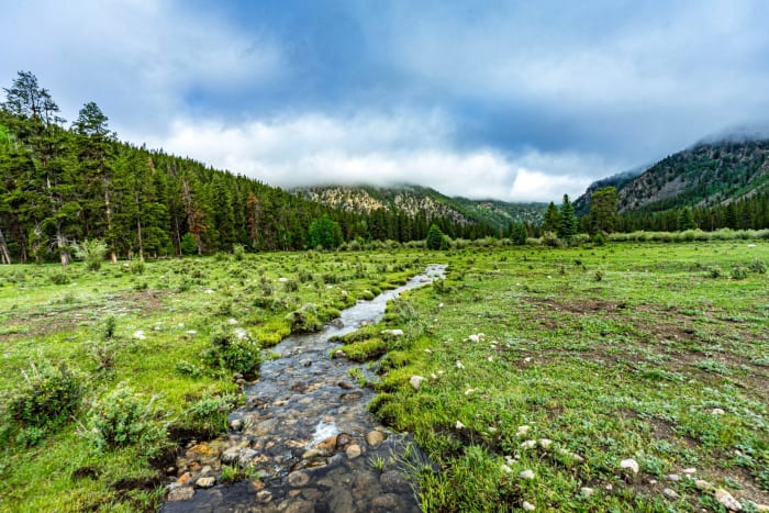Stream Through A Meadow