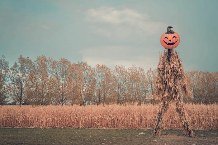 The Scarecrow Has Opinions — Anderson Farms — Colorado landscape photography by Chris Heaton