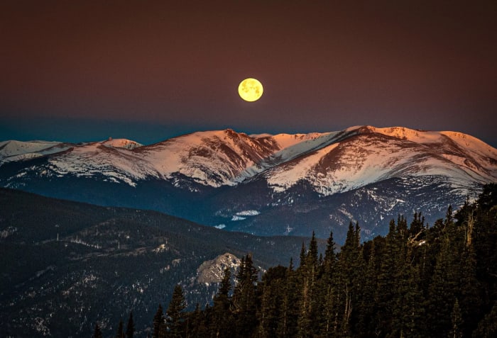 Wolf Moon Over The Rockies