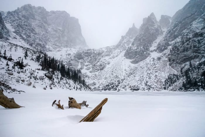 Frozen Log In The Lake