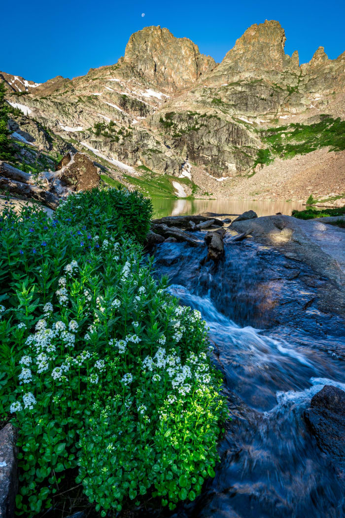 White Flowers, Loud Water — Willow Lakes Trail — Colorado landscape photography by Chris Heaton