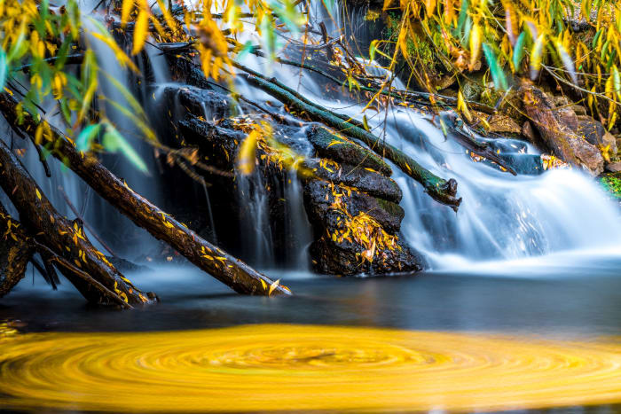 The Pool Keeps the Leaves — Longmont, Colorado — Colorado landscape photography by Chris Heaton