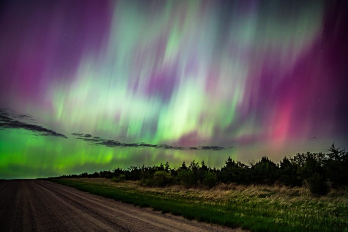 Green Curtain Over the Plains