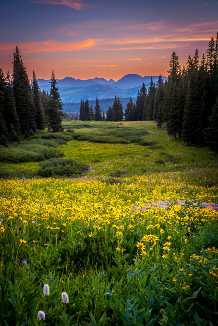 The Meadow Fills In — Shrine Pass, Colorado — Colorado landscape photography by Chris Heaton