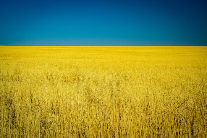 Two Colors and a Horizon — Eastern Plains, Colorado — Colorado landscape photography by Chris Heaton