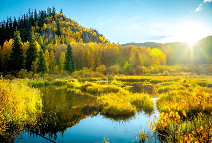 Sunburst Over the Beaver Pond