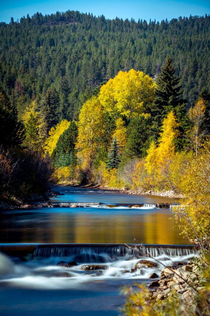 Creek Under the Turning Aspens — Pinecliffe, Colorado — Colorado landscape photography by Chris Heaton