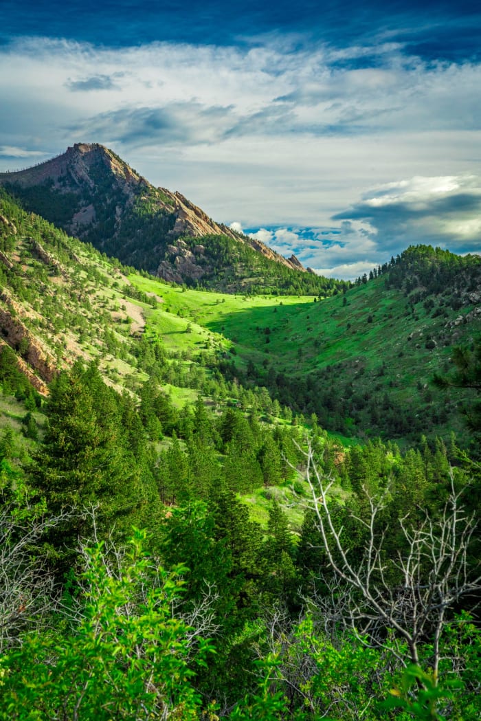 Green Comes Back to the Foothills