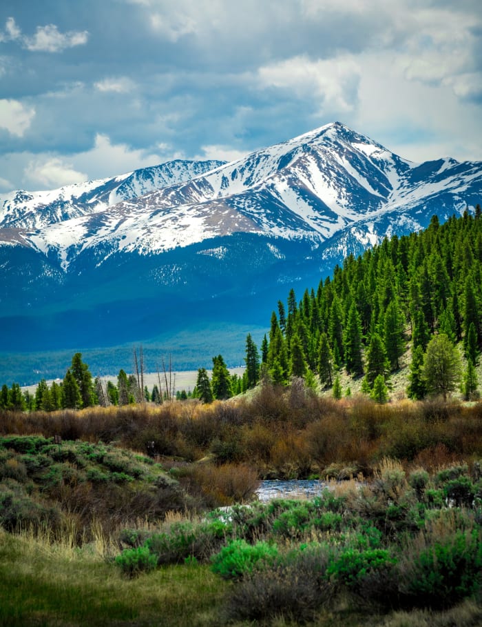 Sawatch Over the Timber — Leadville, Colorado — Colorado landscape photography by Chris Heaton
