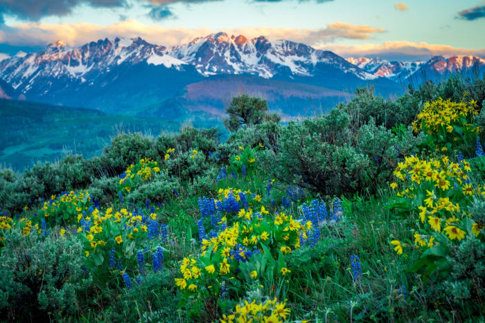 Blue and Gold on the Hillside — Silverthorne, Colorado — Colorado landscape photography by Chris Heaton