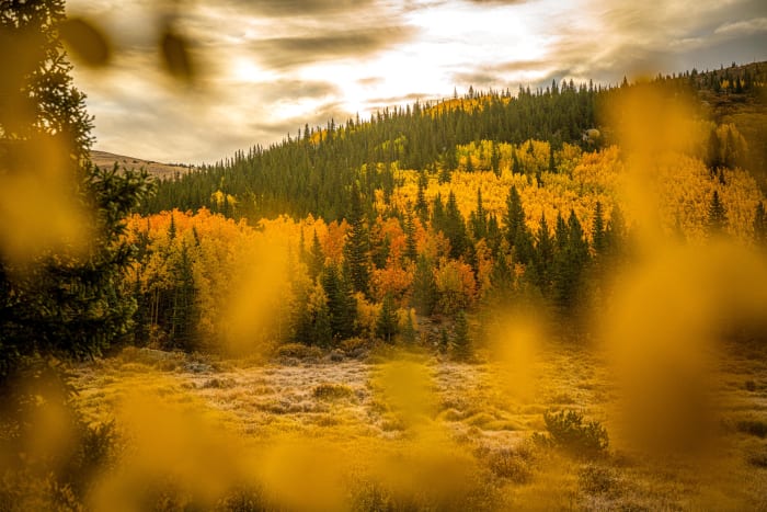 Shooting Through the Gold — Mount Blue Sky Wilderness, Colorado — Colorado landscape photography by Chris Heaton