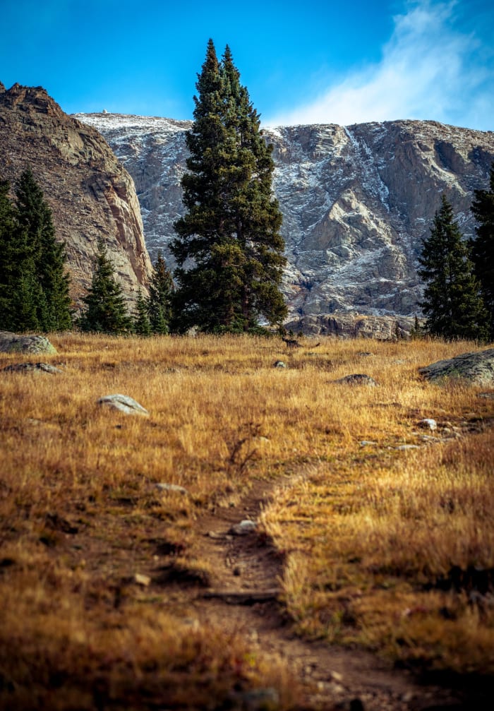 Brown Grass, Gray Wall — Mount Blue Sky Wilderness, Colorado — Colorado landscape photography by Chris Heaton