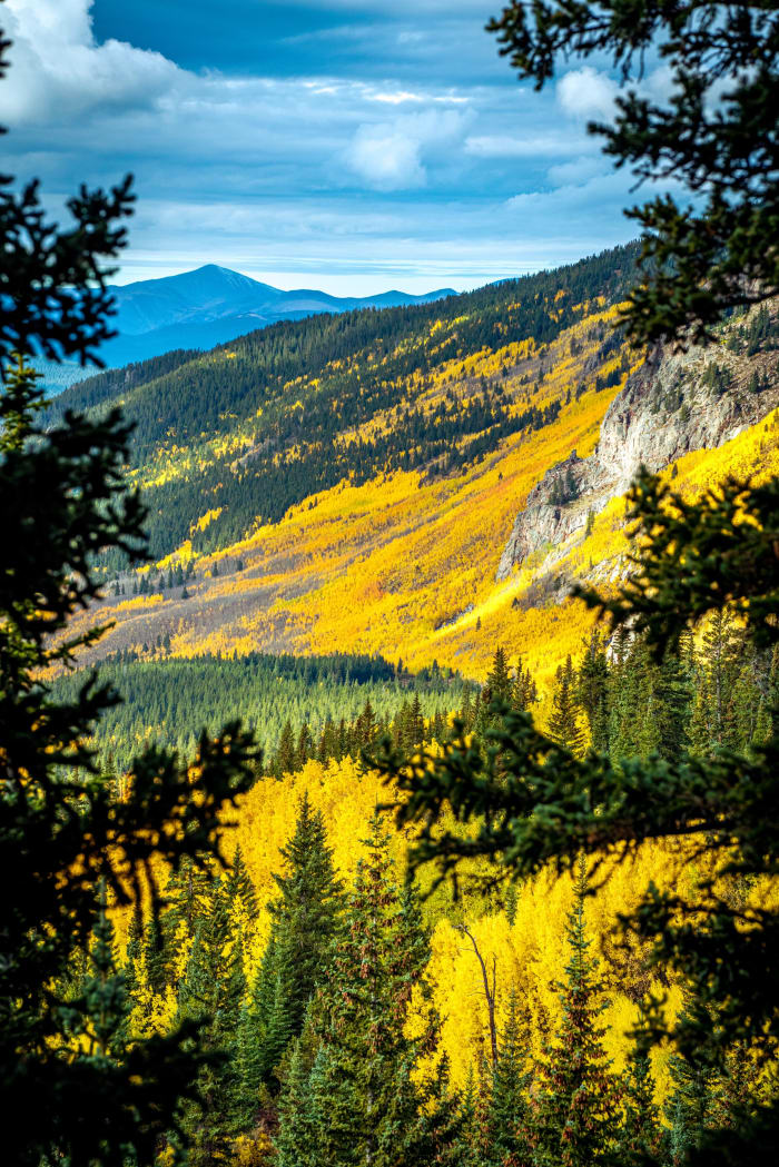 A Hillside Turned Loose — Mount Blue Sky Wilderness, Colorado — Colorado landscape photography by Chris Heaton