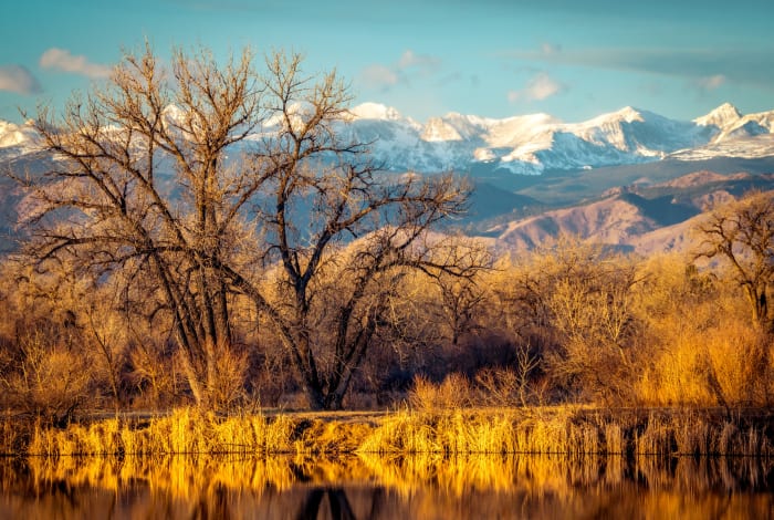 Longs Peak From St. Vrain