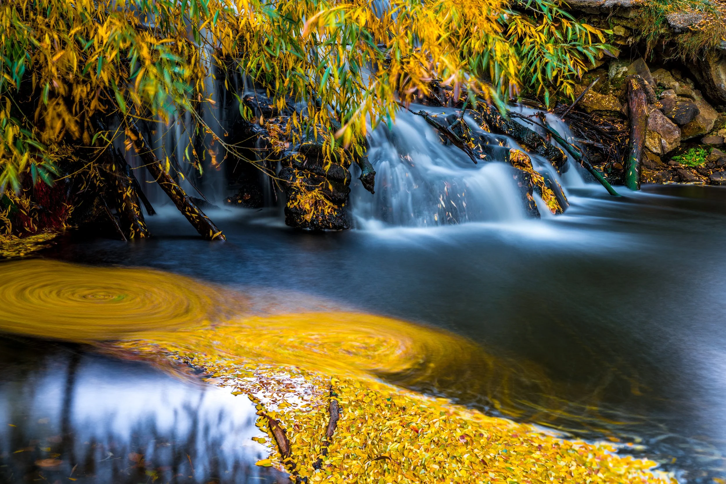 Golden Ponds, Colorado — landscape photo by Chris Heaton