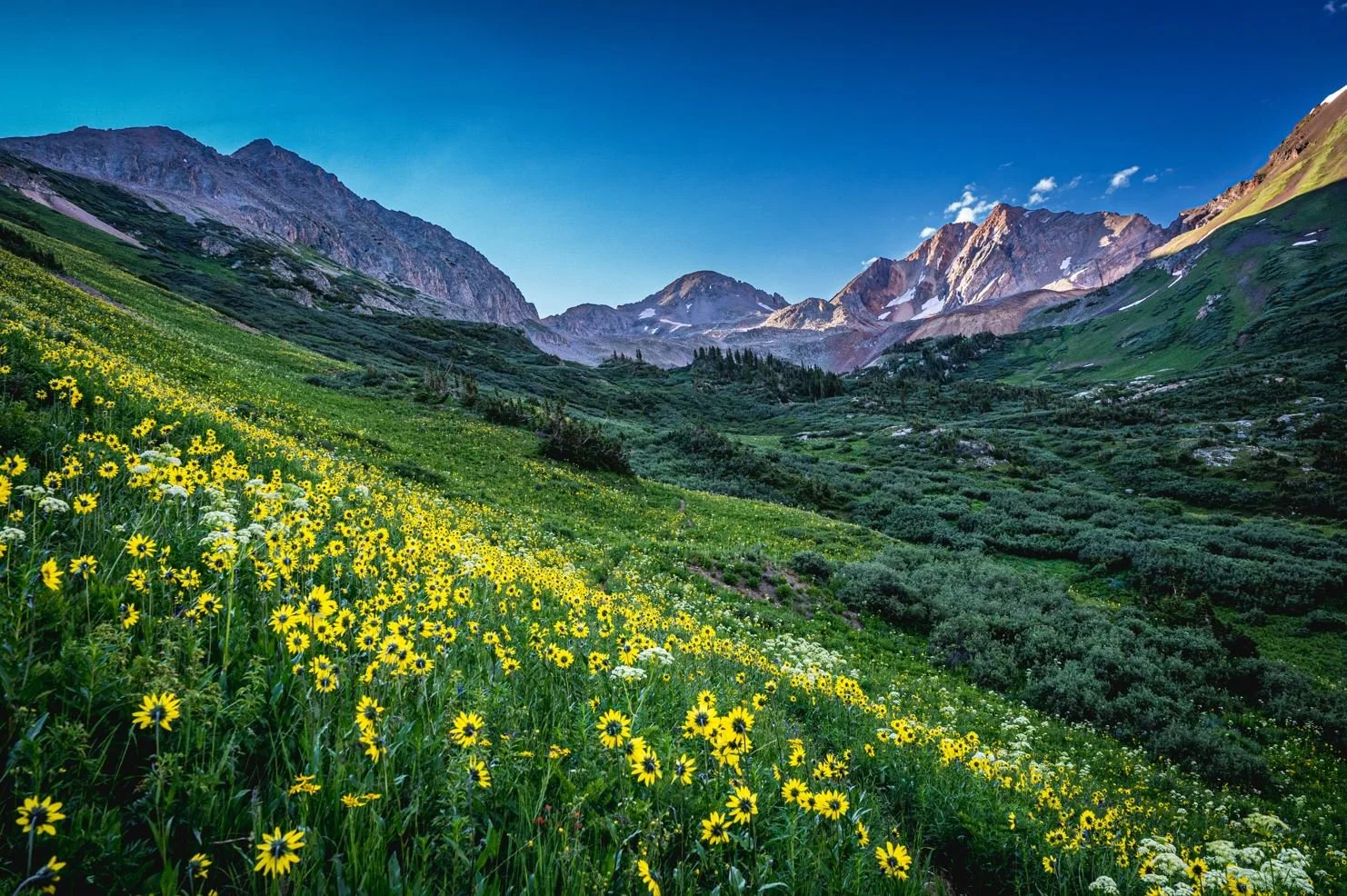 Best Wildflower Hikes in Colorado — Rustler's Gulch