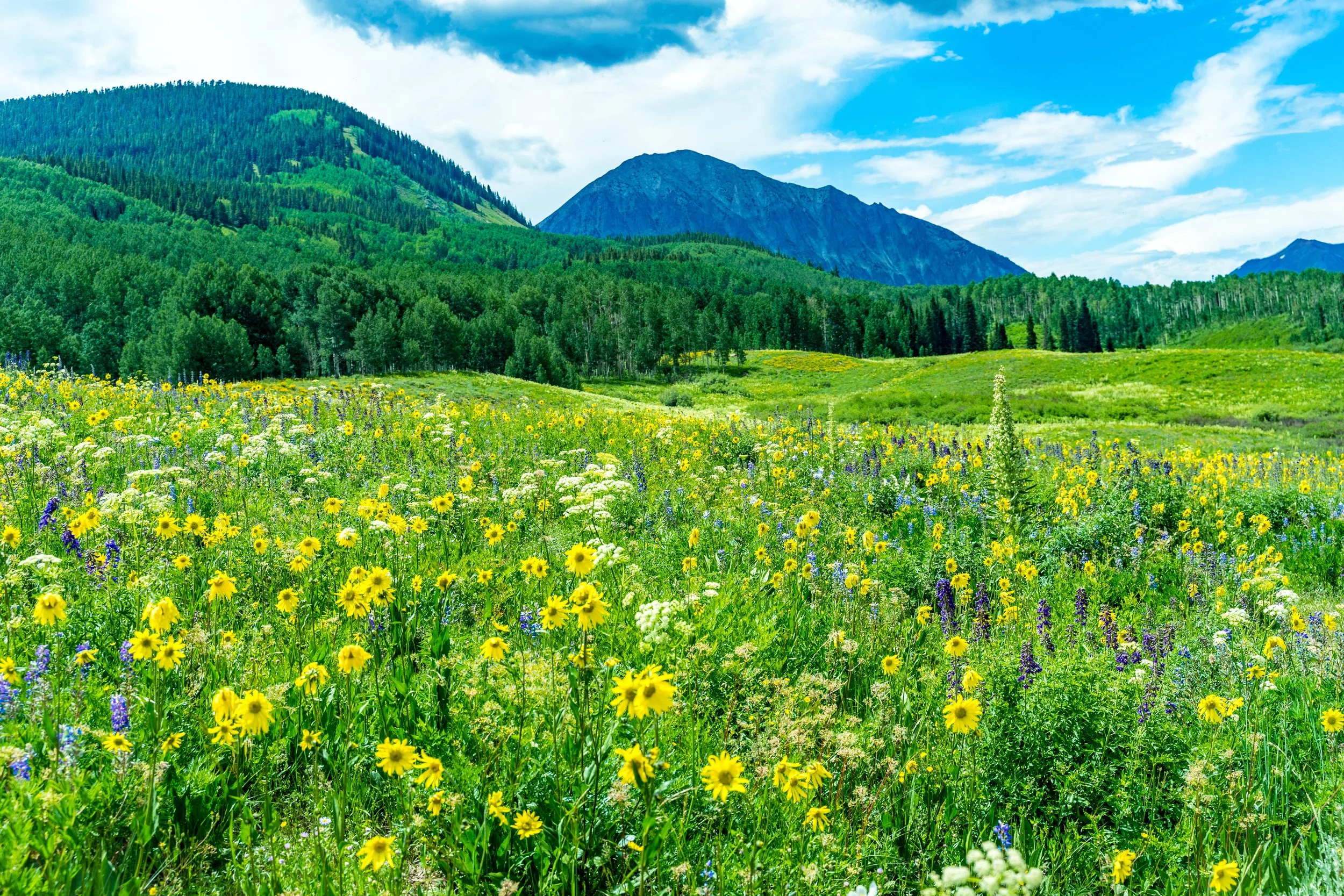 Snodgrass Mountain, Colorado — landscape photo by Chris Heaton