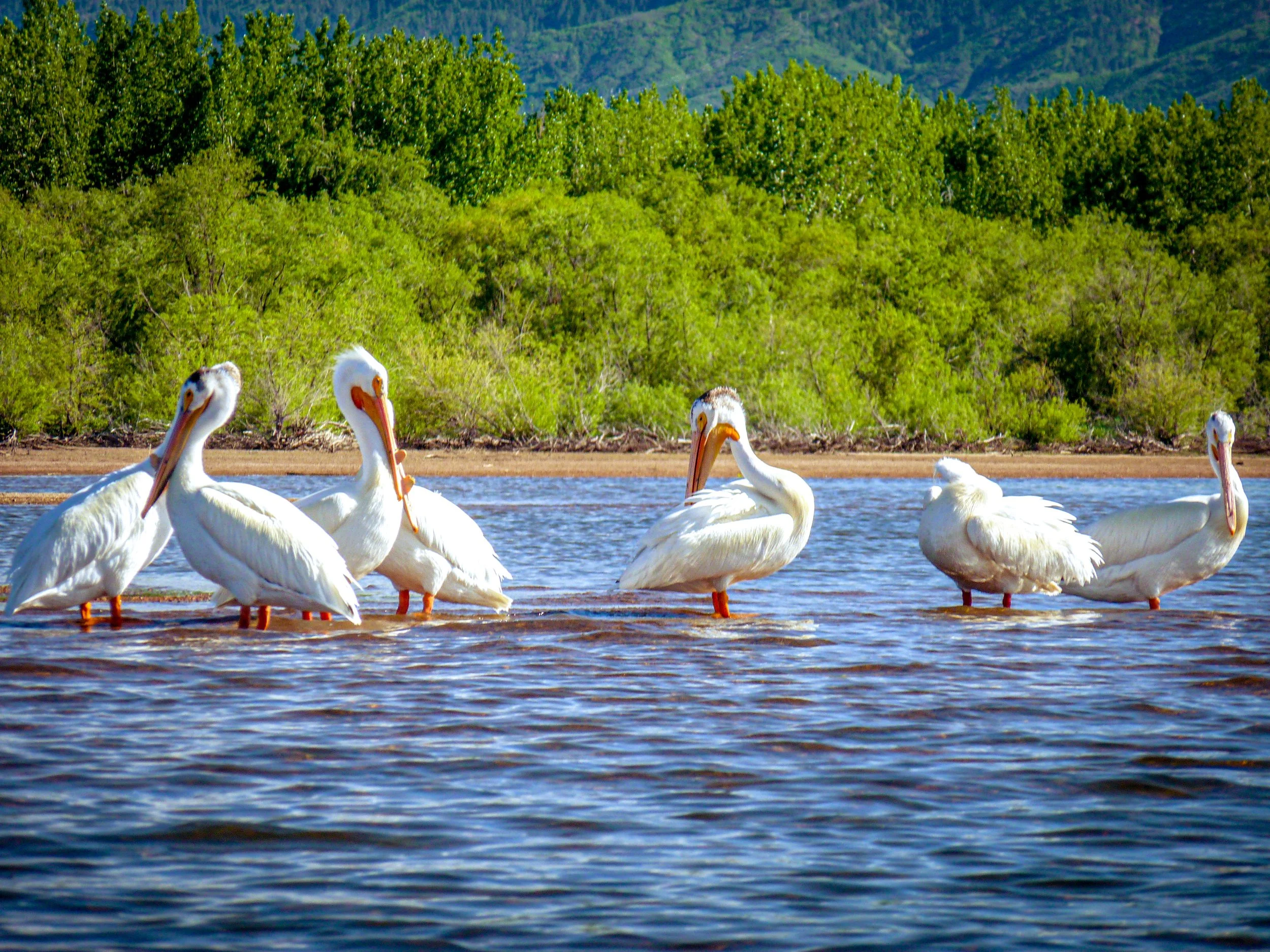 Chatfield Reservoir, Colorado — landscape photo by Chris Heaton