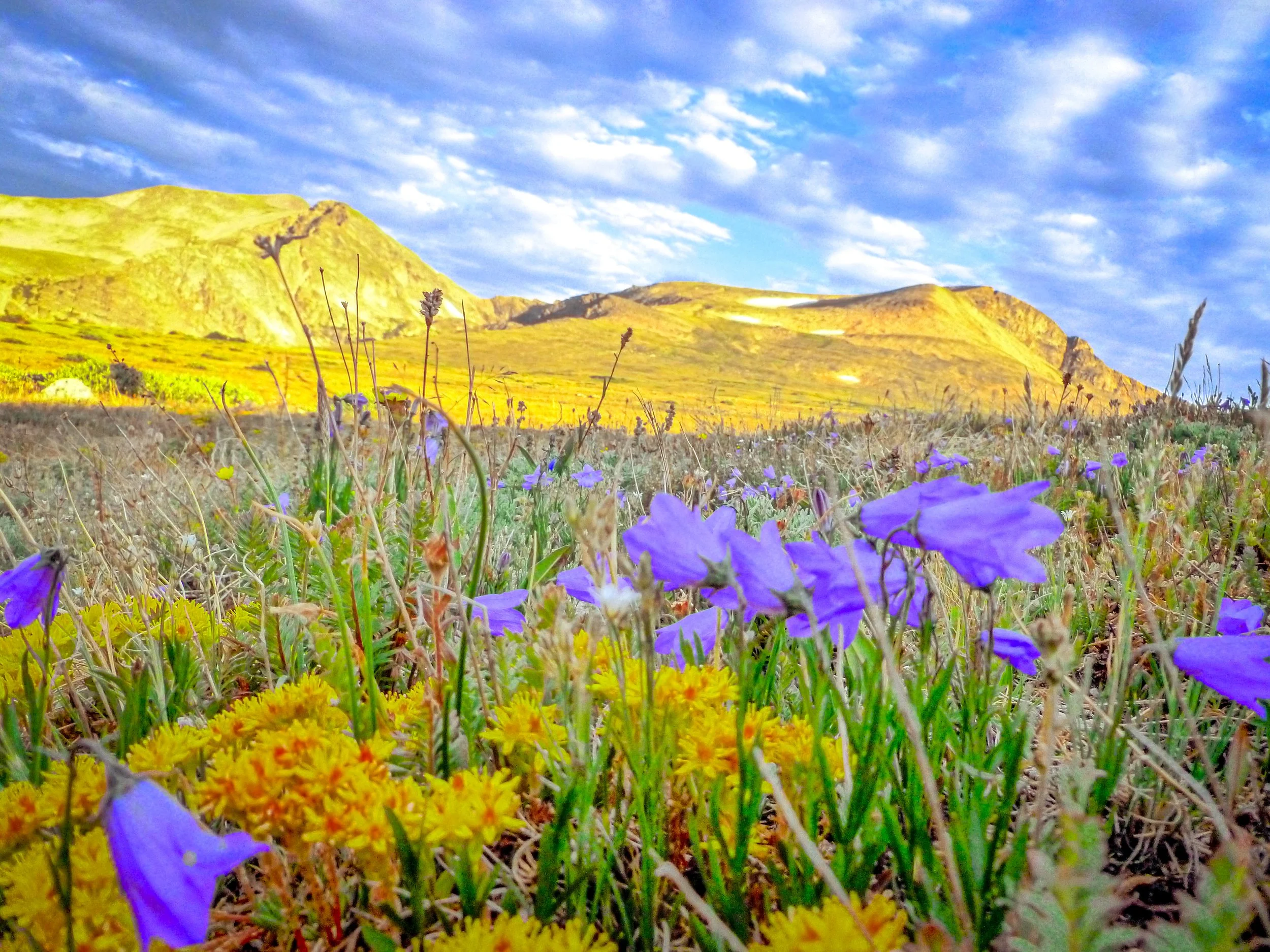 James Peak, Colorado — landscape photo by Chris Heaton