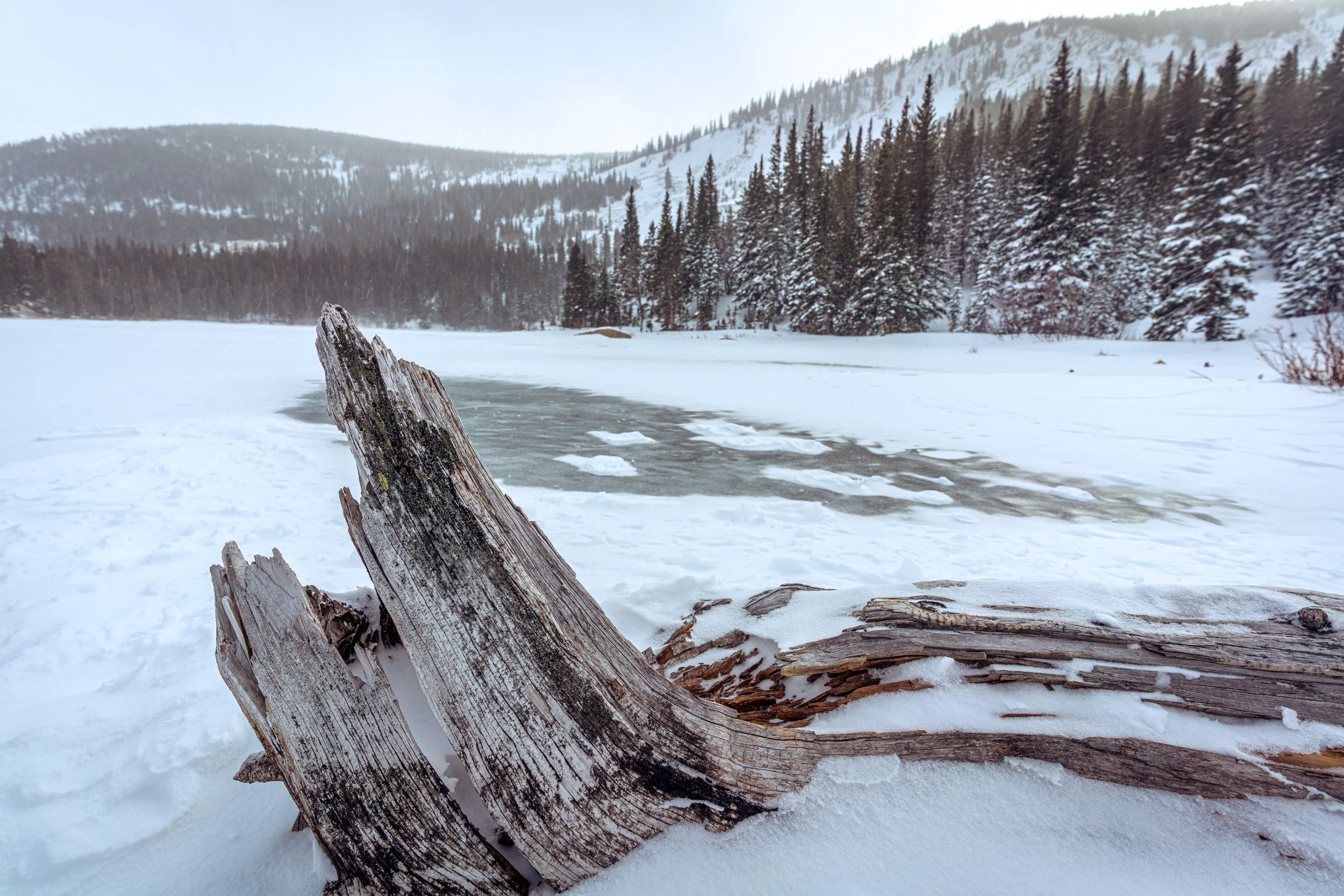 Lost Lake, Colorado — landscape photo by Chris Heaton