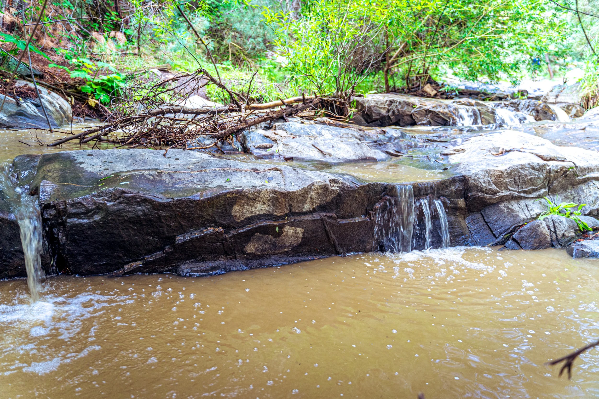 Beaver Brook, Colorado — landscape photo by Chris Heaton
