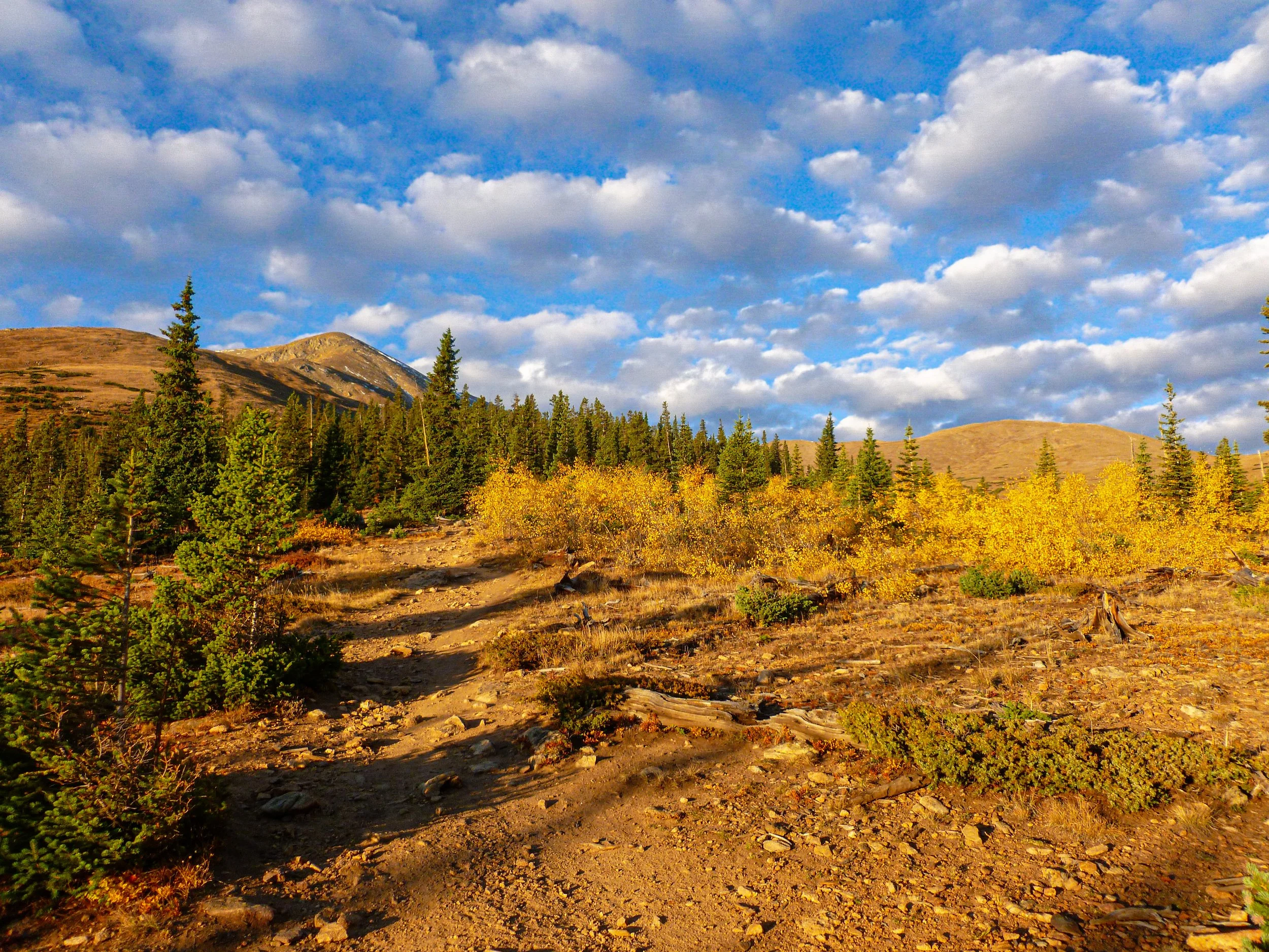 Mt Elbert, Colorado — landscape photo by Chris Heaton