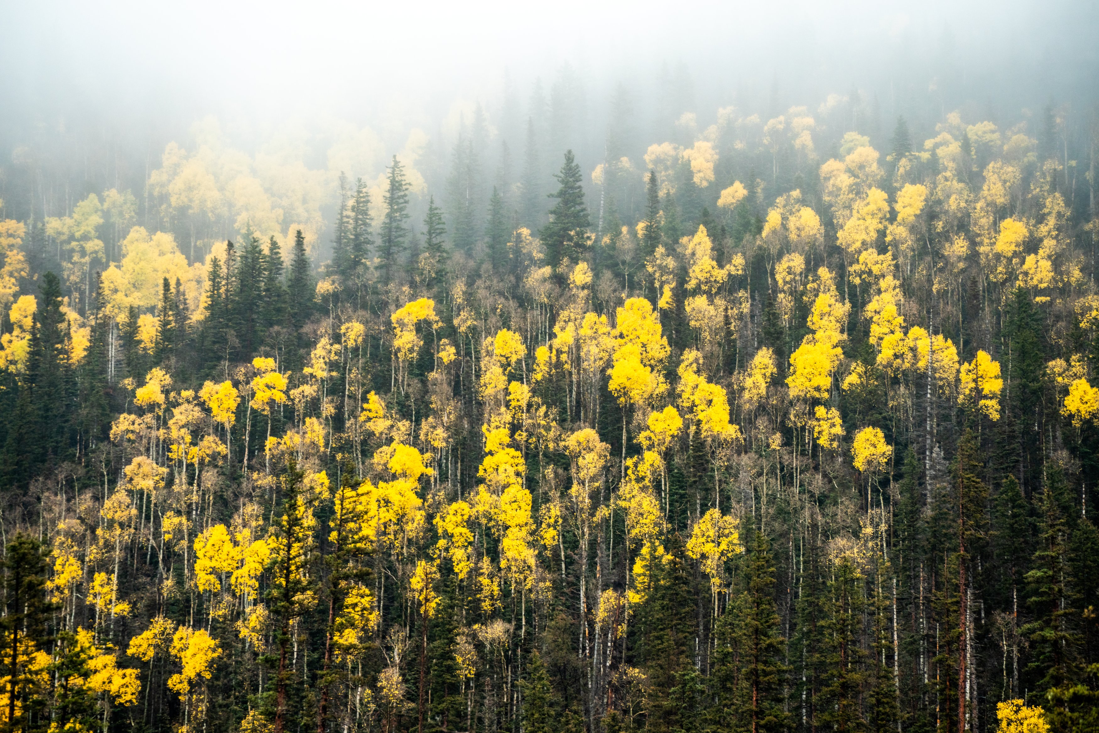 Steamboat Springs, Colorado — photo by Chris Heaton