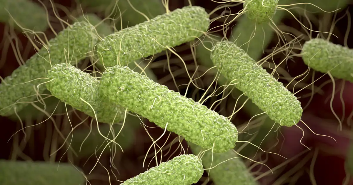 Estos pequeños seres recién descubiertos podrían purificar toda el agua del planeta