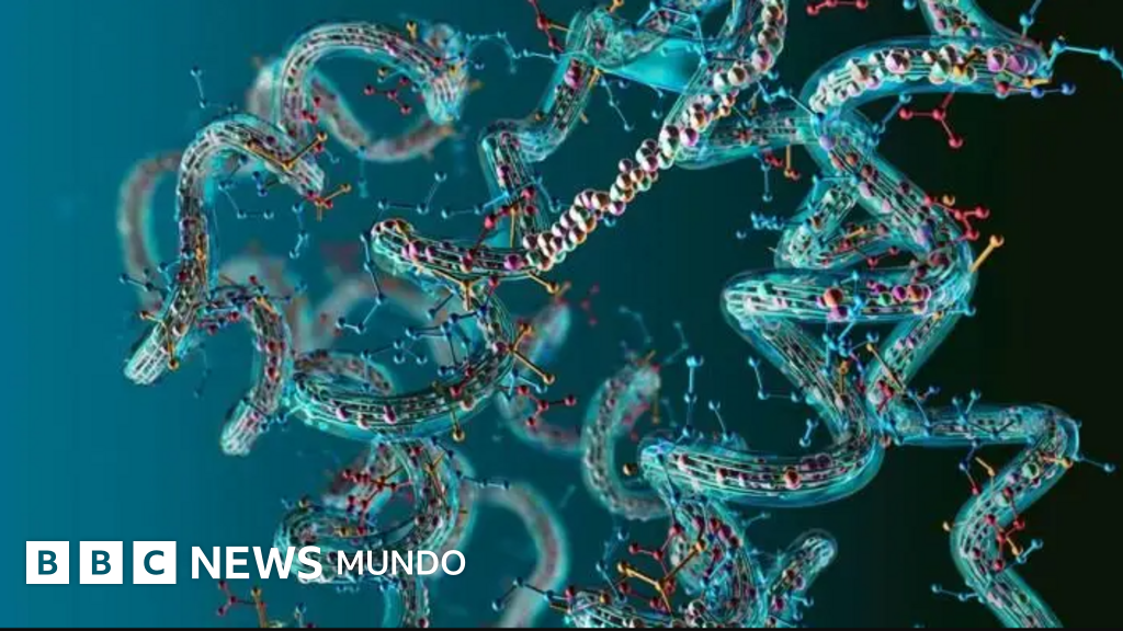 7 hallazgos científicos y médicos que se destacaron en 2024 por su impacto en la vida humana