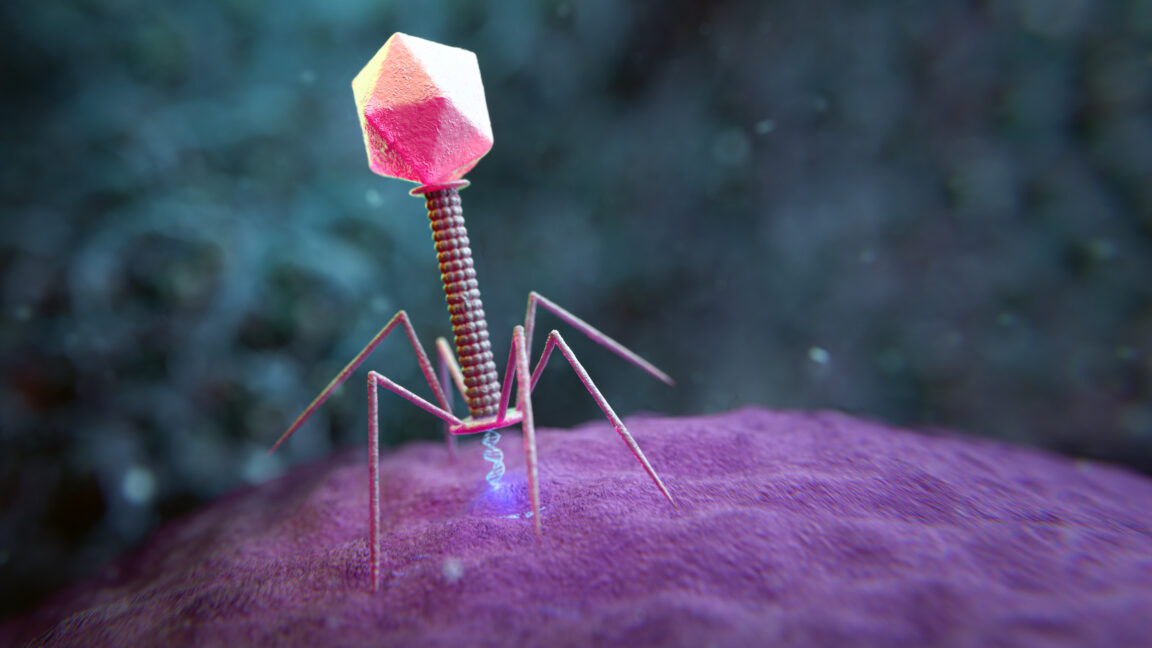 IA diseña virus biológicos nuevos nunca vistos en la naturaleza