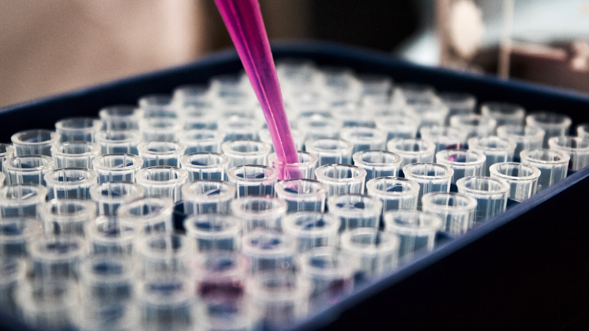 Anthropic mejora Claude Fable 5: ahora entiende mejor la biología y frustra menos