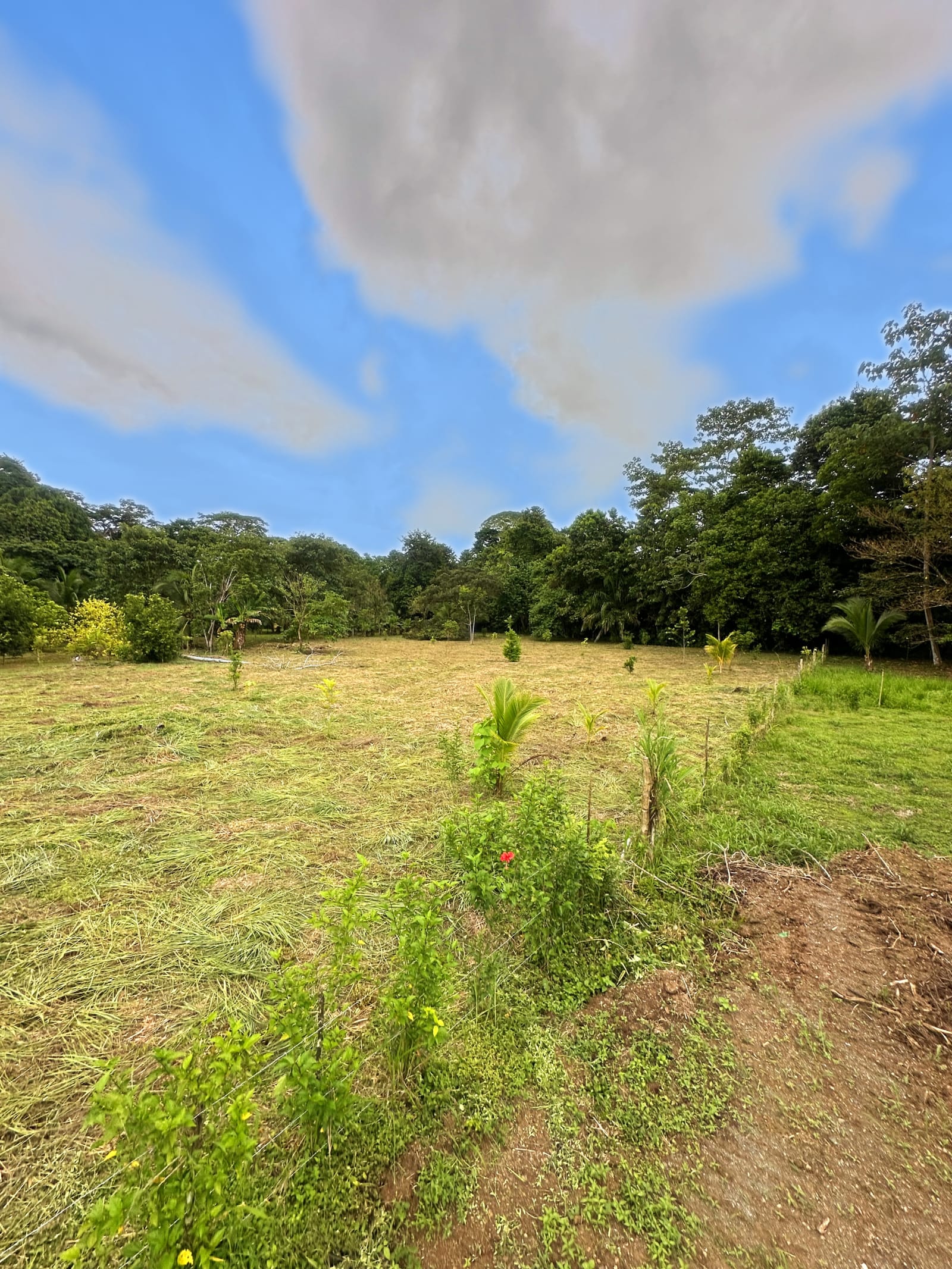 Lote para construir en la zona mas exclusiva de Puerto Jiménez