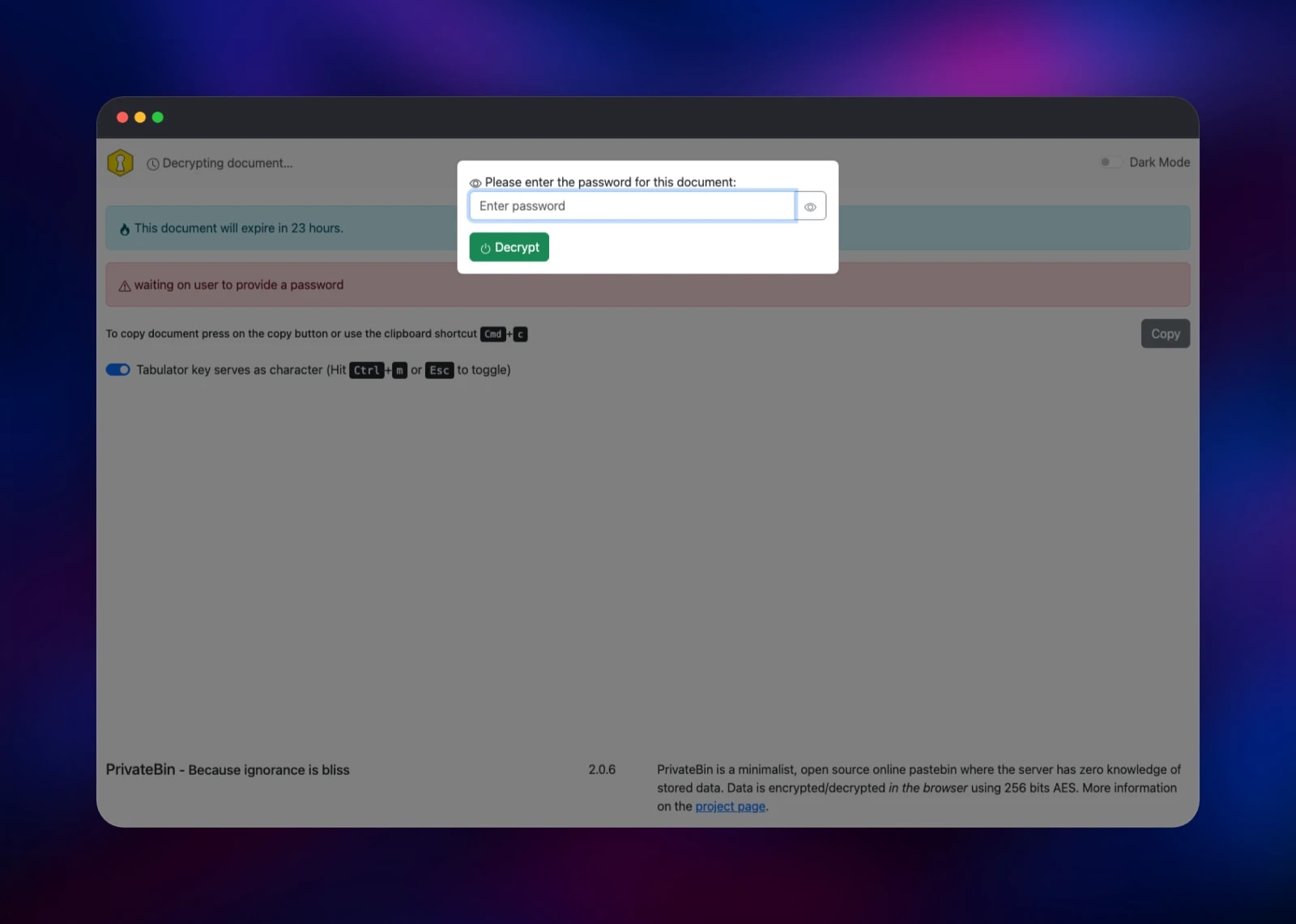 PrivateBin asking for the password of a protected document