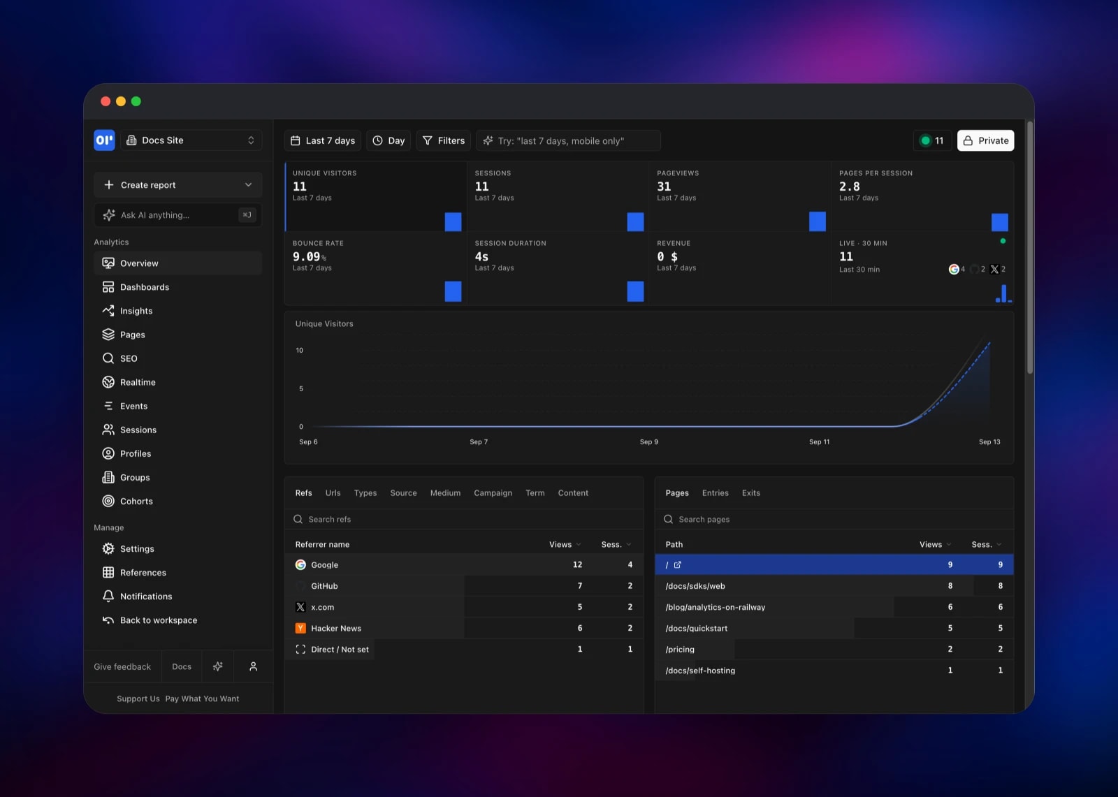 OpenPanel overview with visitors, referrers and top pages