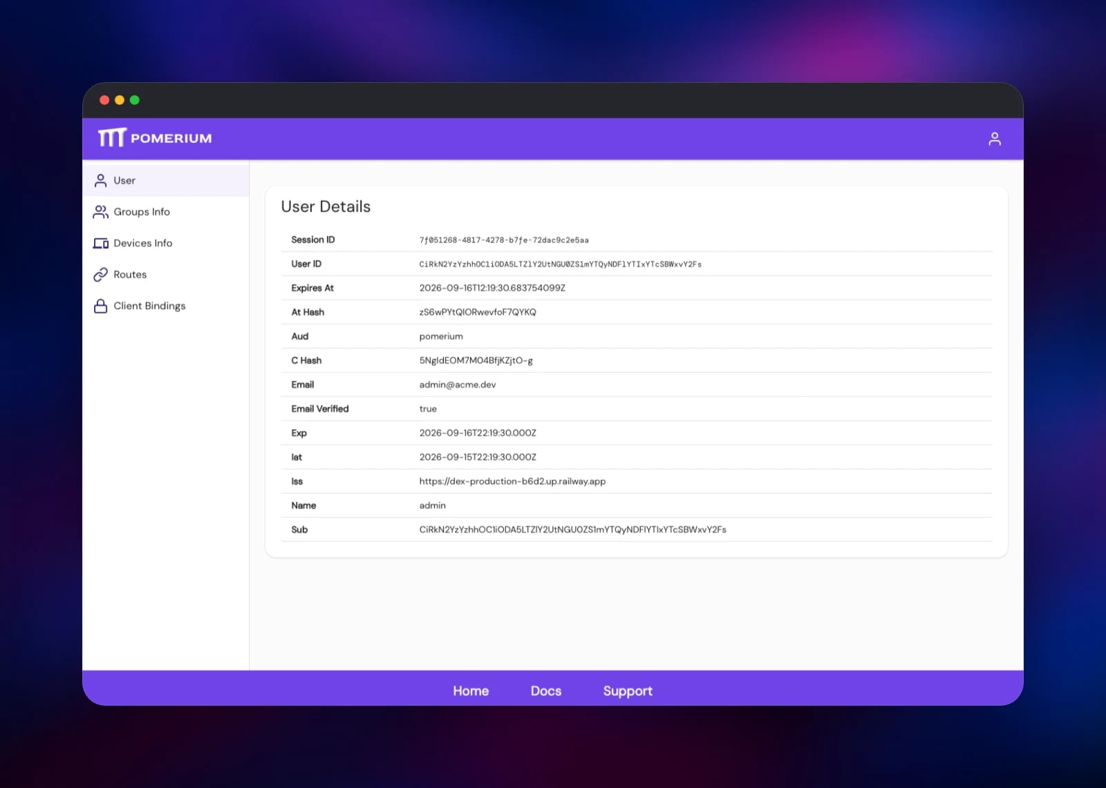 Pomerium user dashboard listing the signed-in session details