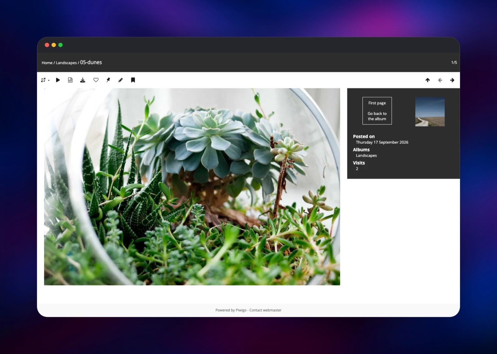 Piwigo photo page with album and visit metadata